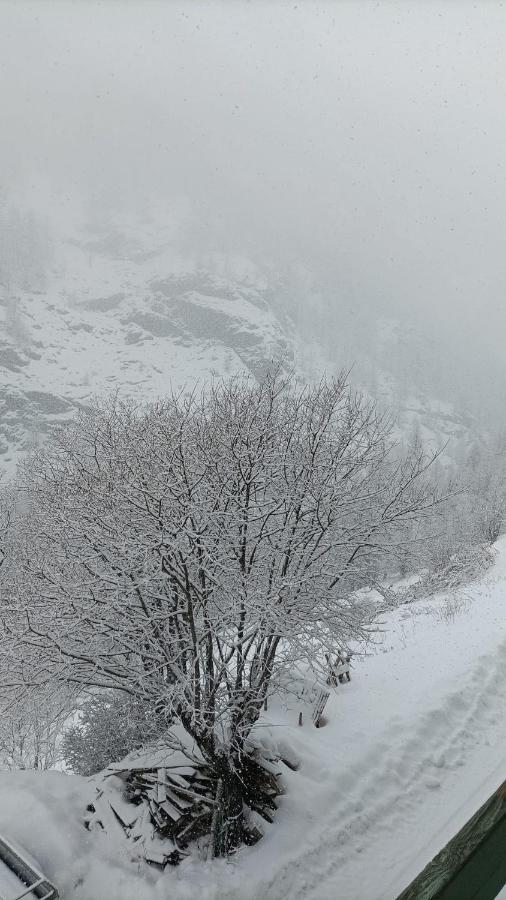 Les Hauts Du Roux Abriès Esterno foto