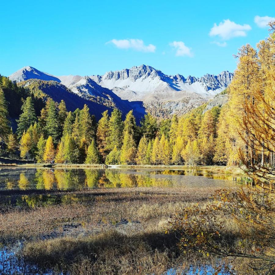 Les Hauts Du Roux Abriès Esterno foto